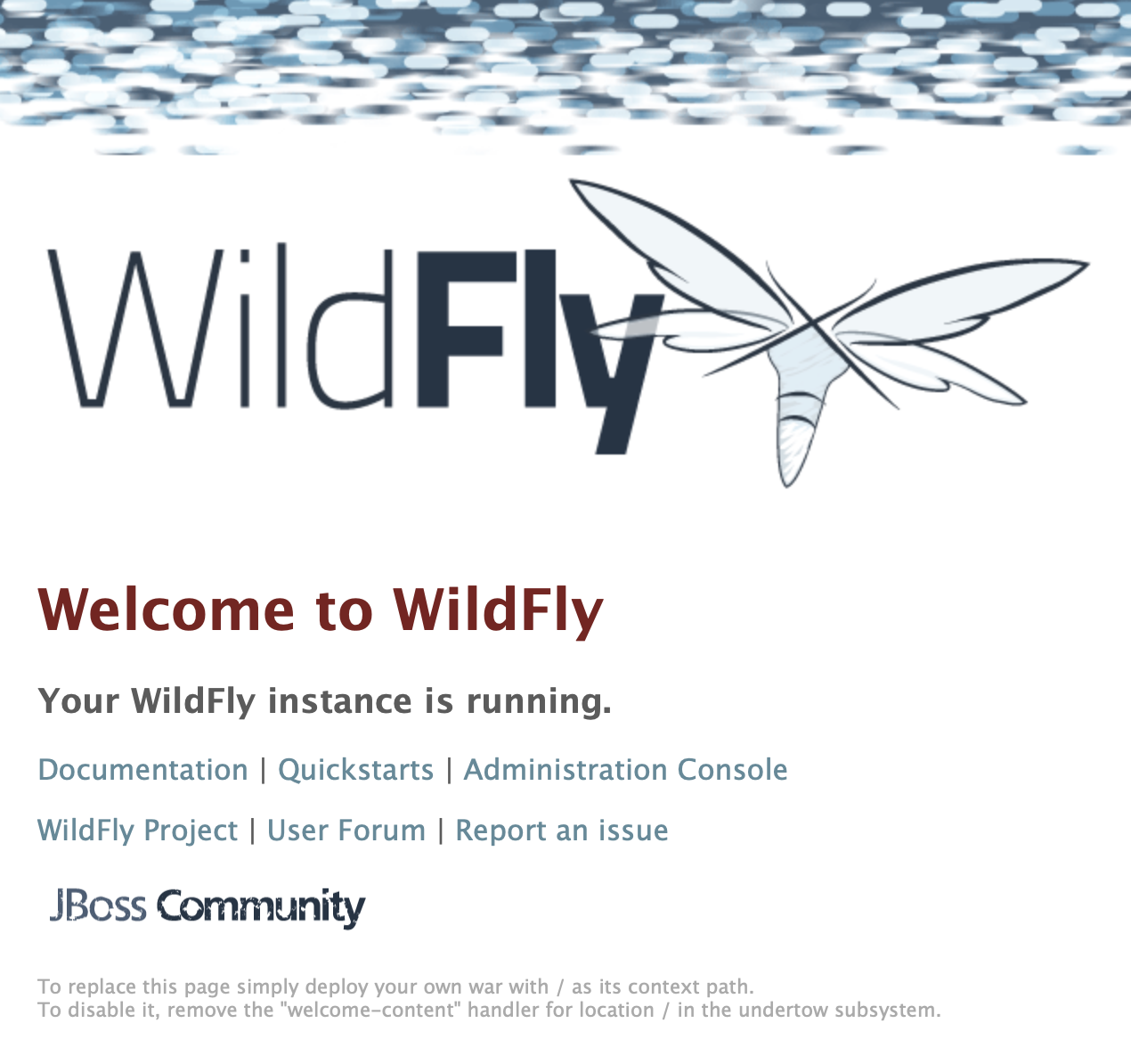 WildFly